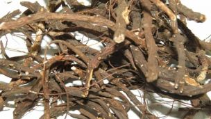 Как вылечить щитовидку лапчаткой белой