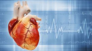 Почему возникает тахикардия и как ее лечить