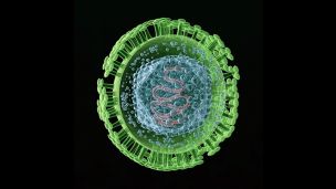 Какое осложнение часто встречается у переболевших ковидом