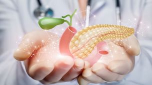 Які продукти «любить» підшлункова залоза?