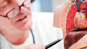 Что может «посадить» печень?