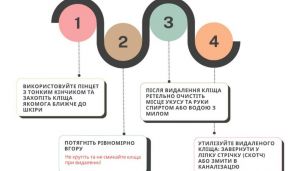 Осторожно! С наступлением тепла резко активизировались клещи!