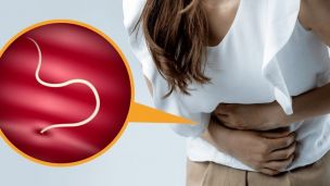 Глисты у детей и взрослых: какие бывают и что делать