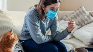 Как оформить больничный дистанционно