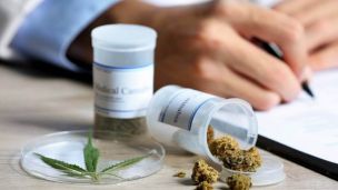 В Україні почала працювати перша аптека з медичним канабісом