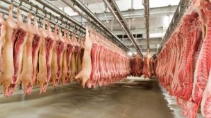 В Україну заборонили ввозити продукти тваринного походження з Угорщини