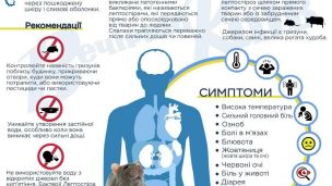 Лептоспіроз у Львівській області: будьте обережні