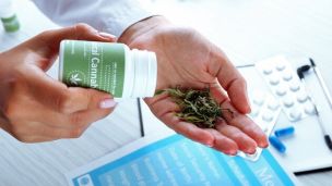 В Україну офіційно дозволили імпортувати медичний канабіс