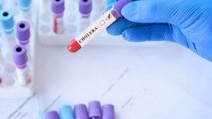 У Польщі вперше за шість років виявили холеру: пацієнтка в тяжкому стані, десятки людей ізольовані