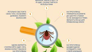 Сезон клещей в Украине: как уберечься и что делать после укуса