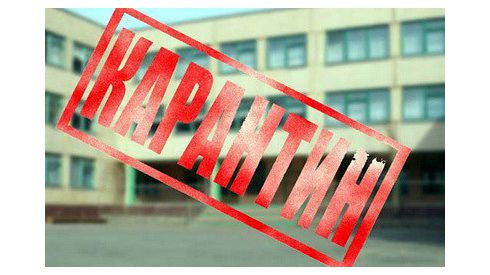 Карантин! Грипп и бешенство