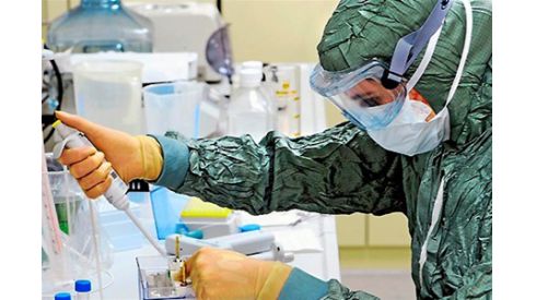 Новый штамм птичьего гриппа убивает людей