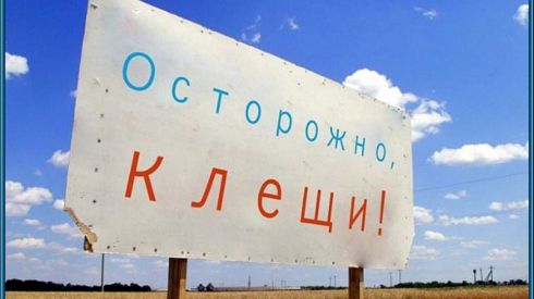 Заразные клещи в Харьковской области