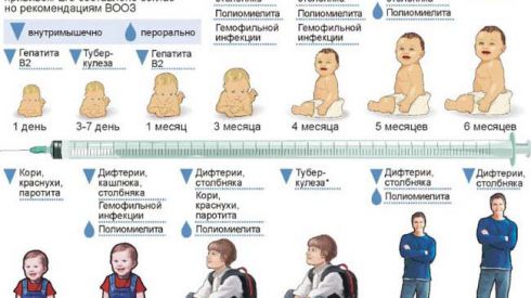 Календарь прививок будет изменен