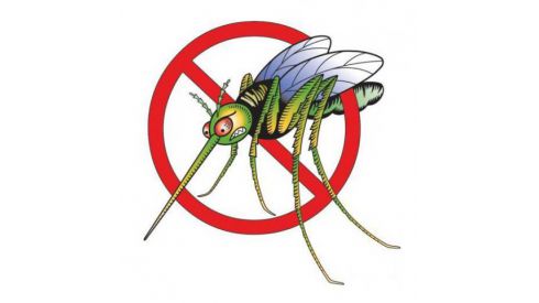 Малярия в Житомире