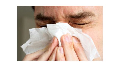 В Киеве зафиксировали смертельный вирус гриппа А Н1 пандемический