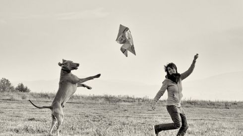 Собаки полезны для здоровья