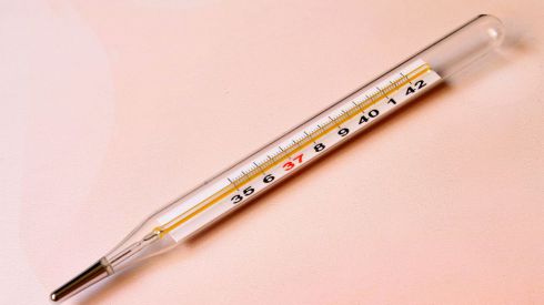 Измеряем температуру тела правильно