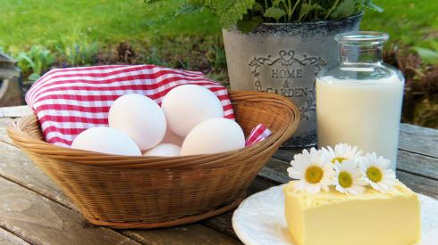 Продукты, из которых можно получить «кирпичики»-белки для организма