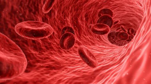 Почему в крови не хватает тромбоцитов и как это исправить?