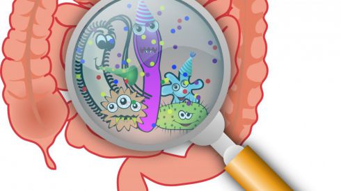 Пробиотики и пребиотики – что это и где их найти?