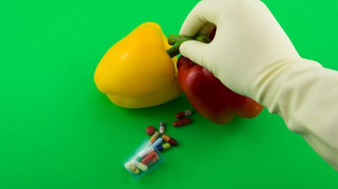 ГМО безопасно для человека, - нобелевский лауреат