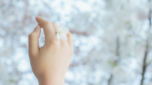 Как избавиться от сухости рук? 11 домашних средств