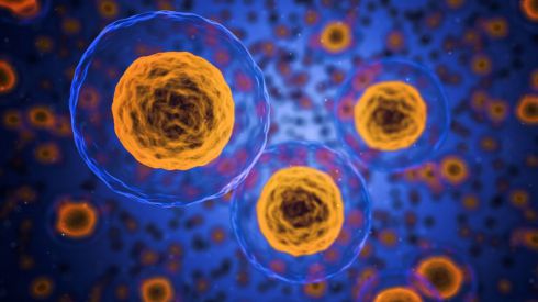 Раковые клетки умеют маскироваться, чтобы избежать химиотерапии