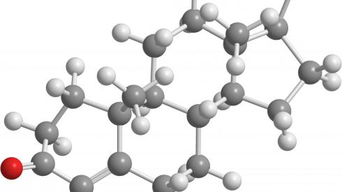 Причины и симптомы гормонального дисбаланса и как от них избавиться