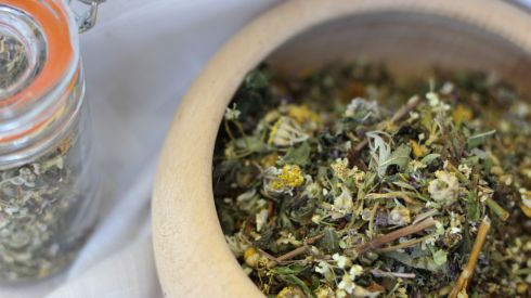 Полынь: средство от десятка заболеваний и инфекций