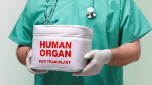 Верховная Рада разрешила трансплантацию органов