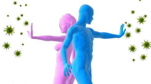 Как работает наша иммунная система?