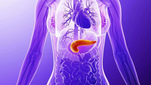 Поджелудочная железа: как болит и чем лечить