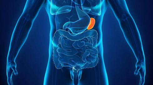 Другие органы «заражают» селезенку раком, но как это связано с гепатитом С?