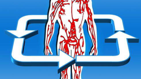 С чем связано плохое кровообращение и кто в зоне риска?