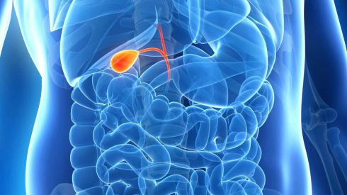 Распространенные проблемы желчного пузыря и как от них избавиться без врача