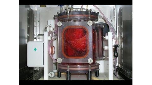 Ученые создали жизнеспособные легкие