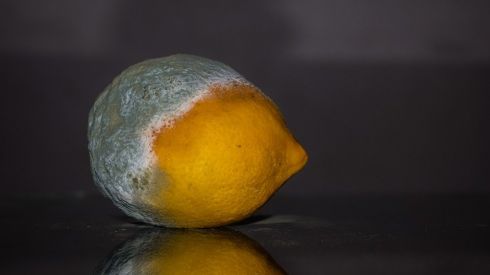 В Украину постоянно завозят отравленные фрукты: как их распознать?