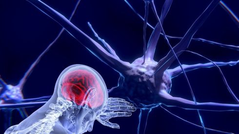 Ученые выяснили, как прозак вызывает рост новых нейронов