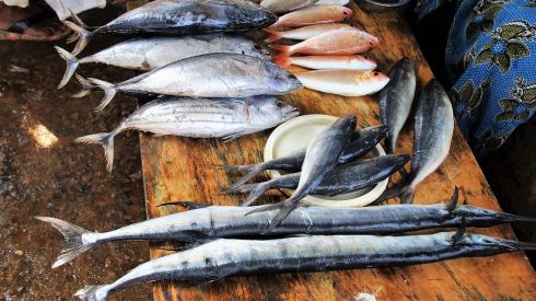 Медики назвали 9 сортов рыбы, которую лучше не покупать