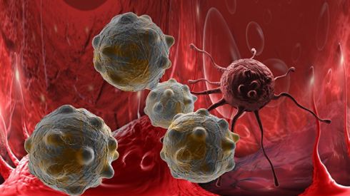 Всемирная организация здравоохранения: 10 продуктов, побеждающих рак