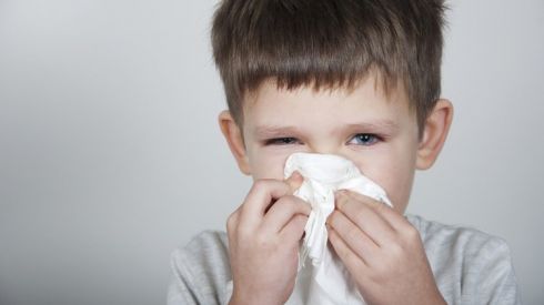 Комаровский: первая помощь при носовых кровотечениях