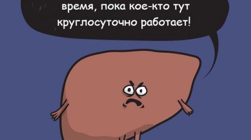 Продукты для восстановления печени