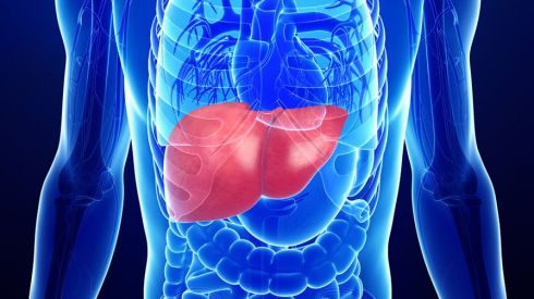 Какую опасность таят болезни печени