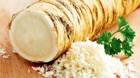 10 главных природных антибиотиков