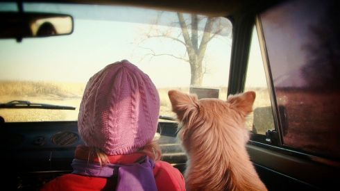 Ребенка укачивает: что делать