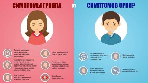 Как отличить грипп от простуды