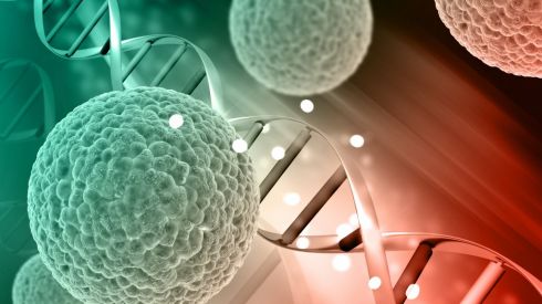 Мифы и правда о гриппе