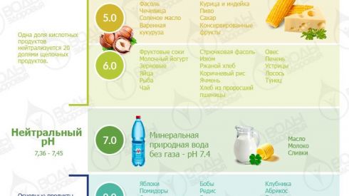 Что такое «закисление организма» и чем оно опасно