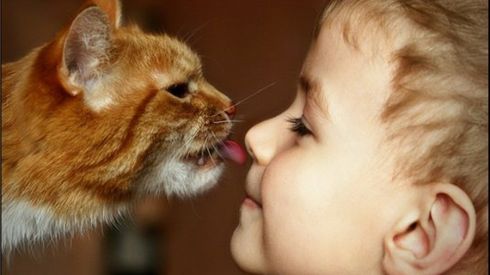 Топ-5 противогельминтных препаратов